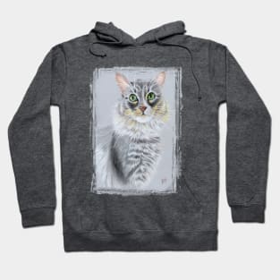 Meet Boaz. The rescue Cat that will steal your heart Hoodie